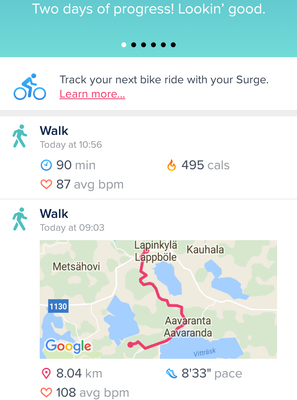 Fitbit discount track run