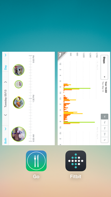 GO_App_Plus_Fitbit_May-13-Tuesday.png