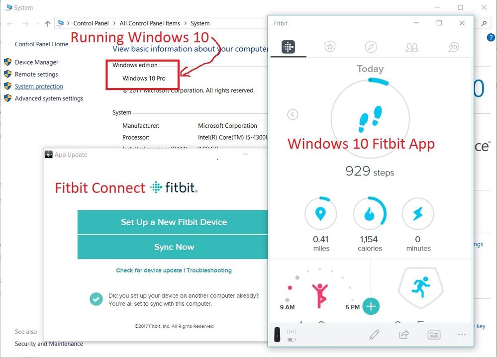 fitbit-programs.jpg