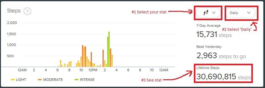 fitbit-stats.jpg