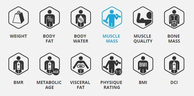 Solved: Aria body fat percentage questions - Page 5 - Fitbit Community