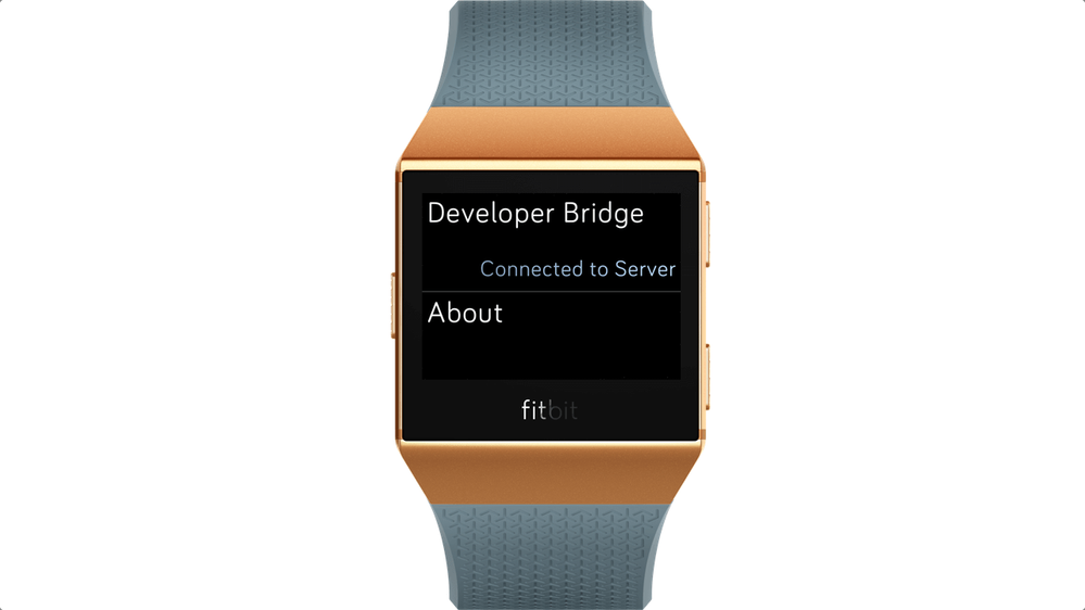 Fitbit SDK