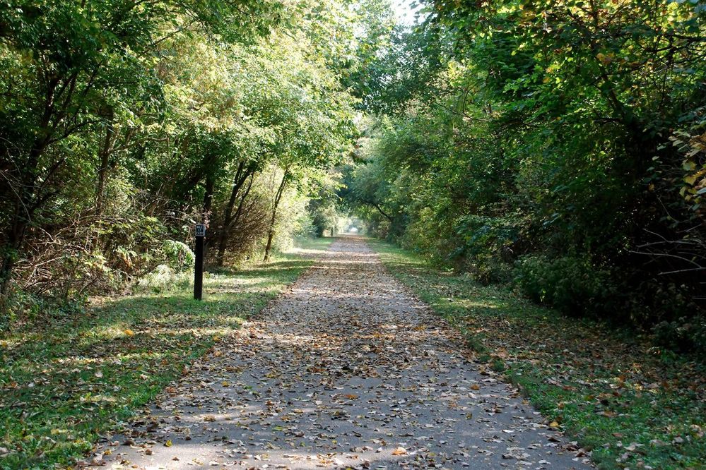 Bike Trail 1.jpg