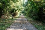 Bike Trail 1.jpg