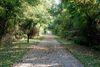 Bike Trail 1.jpg
