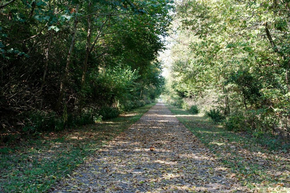 Bike Trail 2.jpg