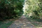 Bike Trail 2.jpg