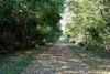 Bike Trail 2.jpg