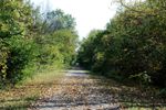 Bike Trail 3.jpg