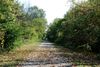 Bike Trail 3.jpg