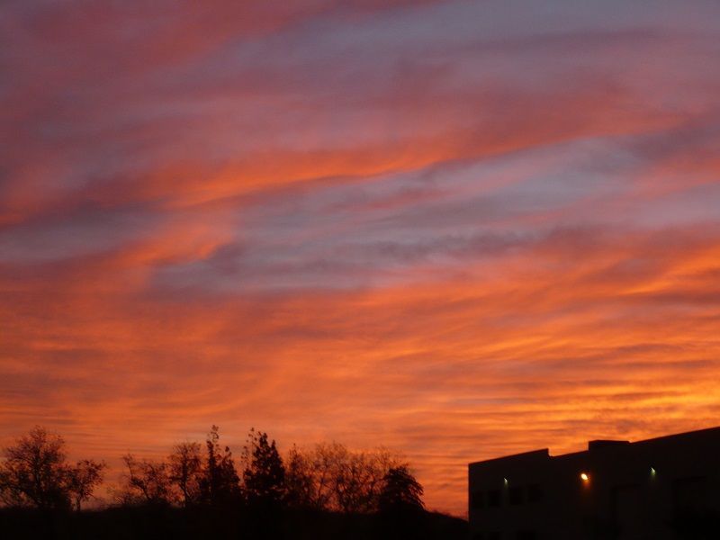 sunrise.jpg