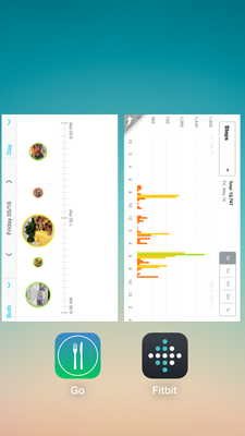 GO_App_Plus_Fitbit_May-16-Friday.png