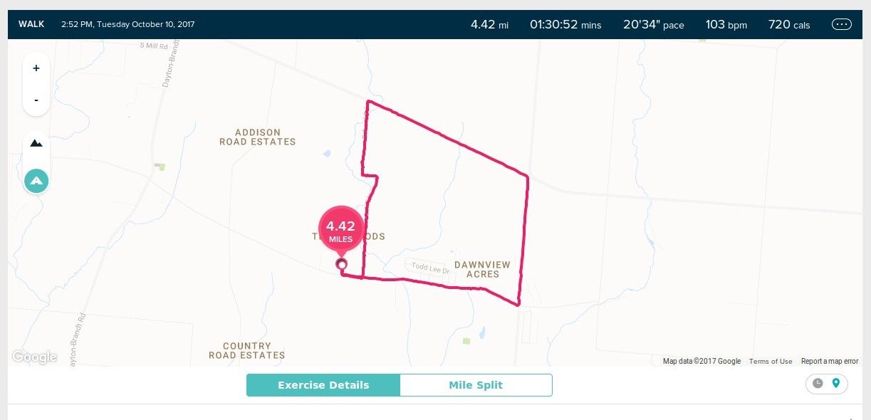 fitbit with gps locator