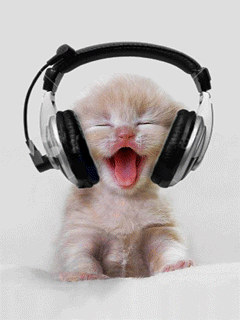 cat.gif