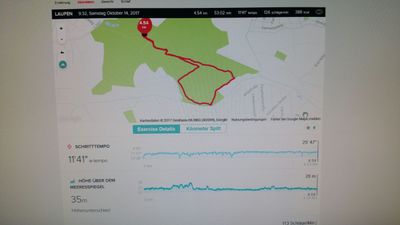 Walken im Dashbord völlig korrekt aufgezeichnet