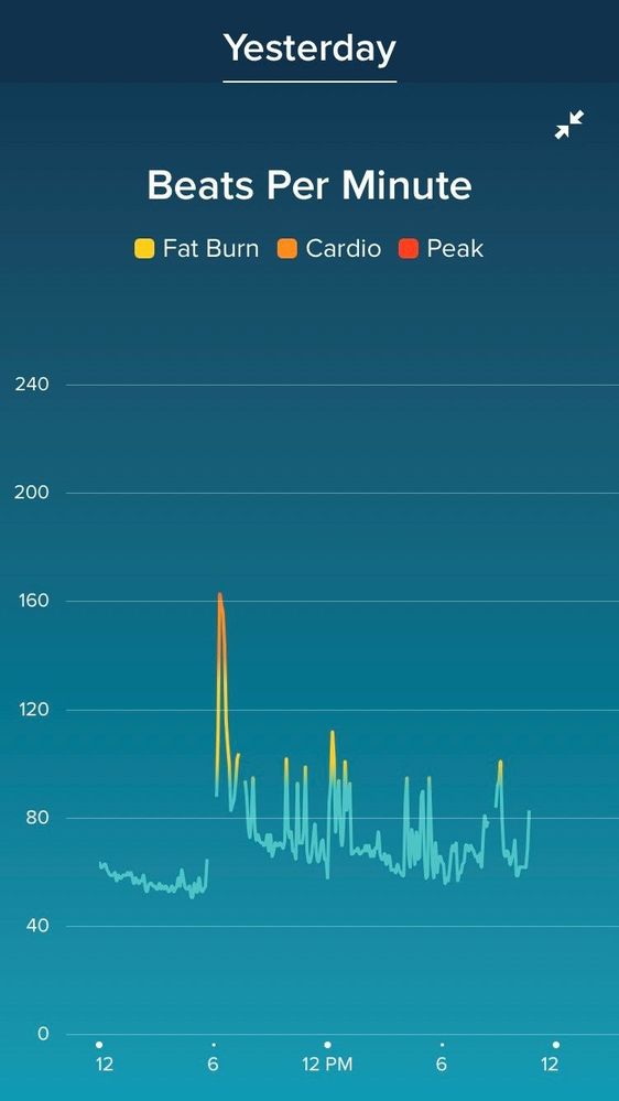 fitbit.jpg