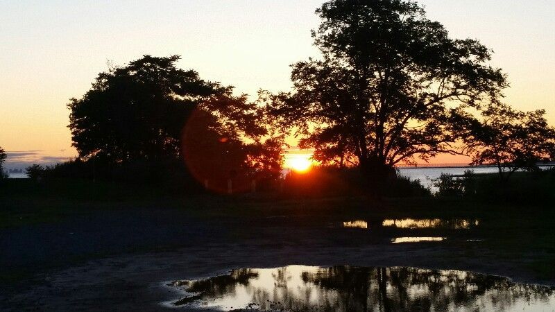 The sun waking up between two trees