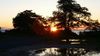 The sun waking up between two trees