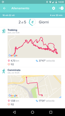 App Fitbit su phone