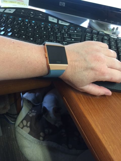 fitbit ionic slate blue & burnt orange