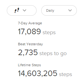 fitbit total lifetime steps