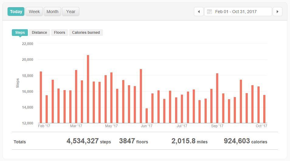 fitbit-activity-customdates.JPG