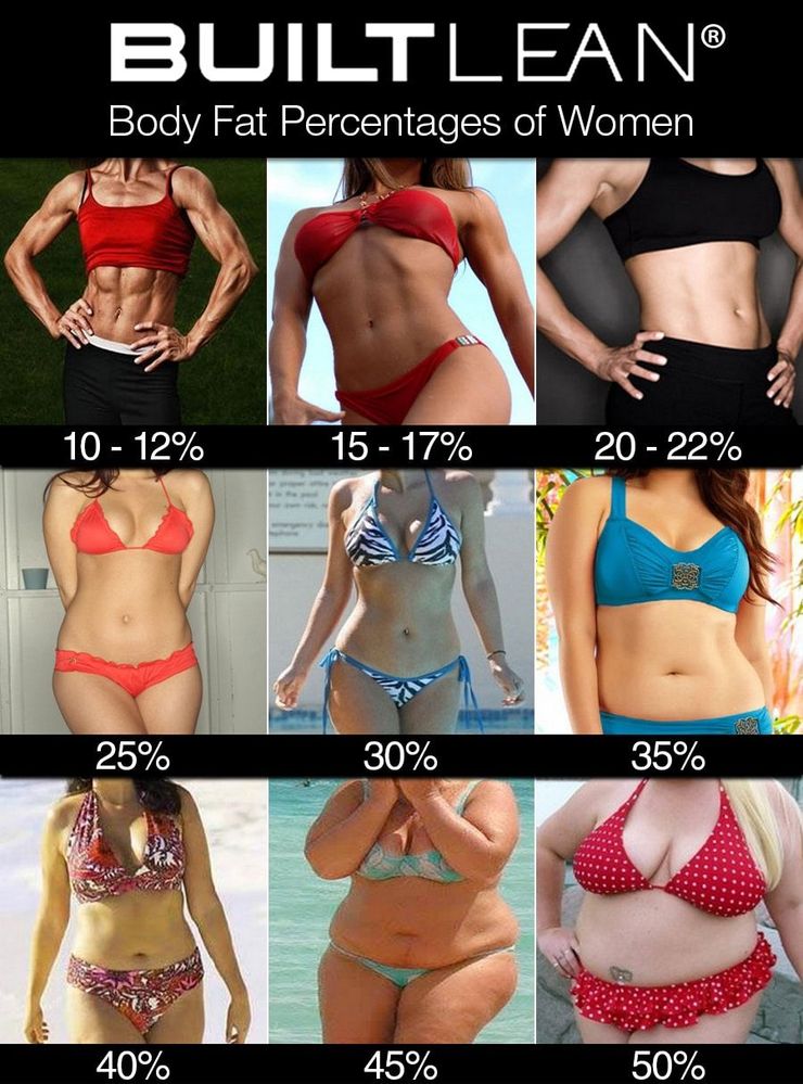 Navy body fat