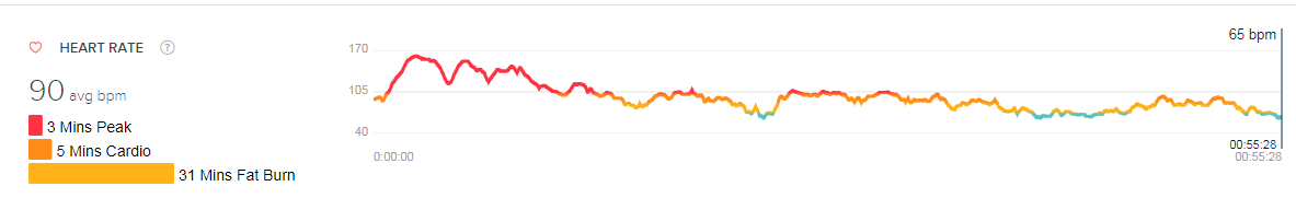fitbit rowing