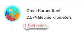 lifetime 1599 miles.jpg