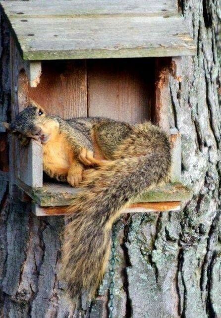 After Thanksgiving Dinner.jpg
