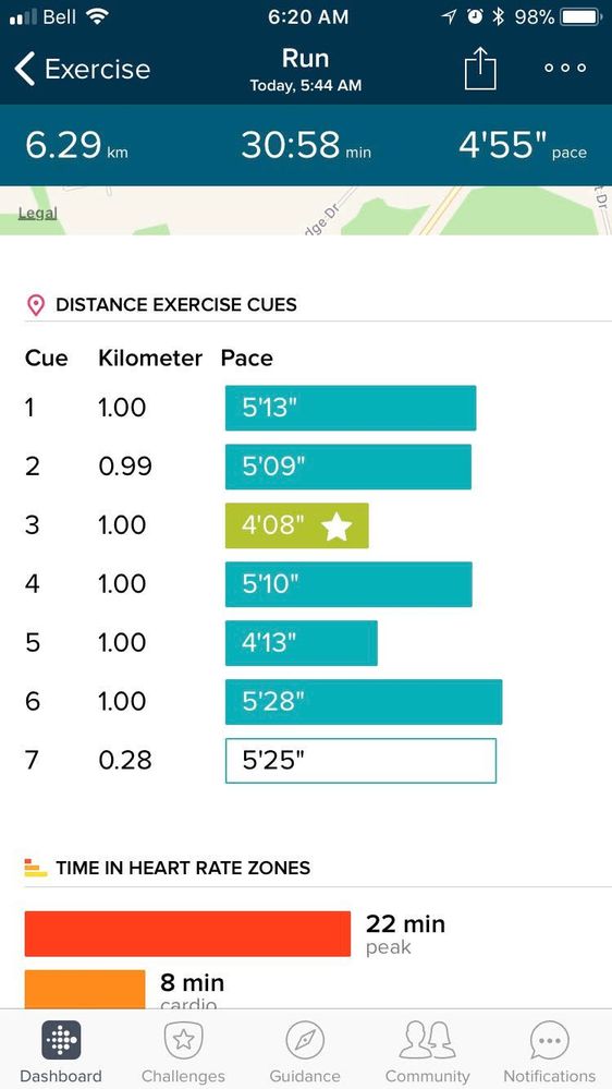 Fitbit Ionic Run data