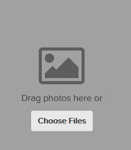 camera.jpg