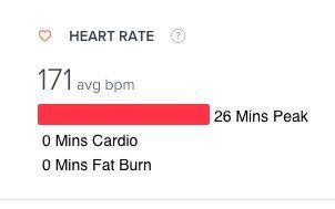 Fitbit_-_Activities_-_Run.jpg