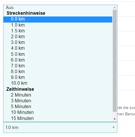 lap info 2.PNG