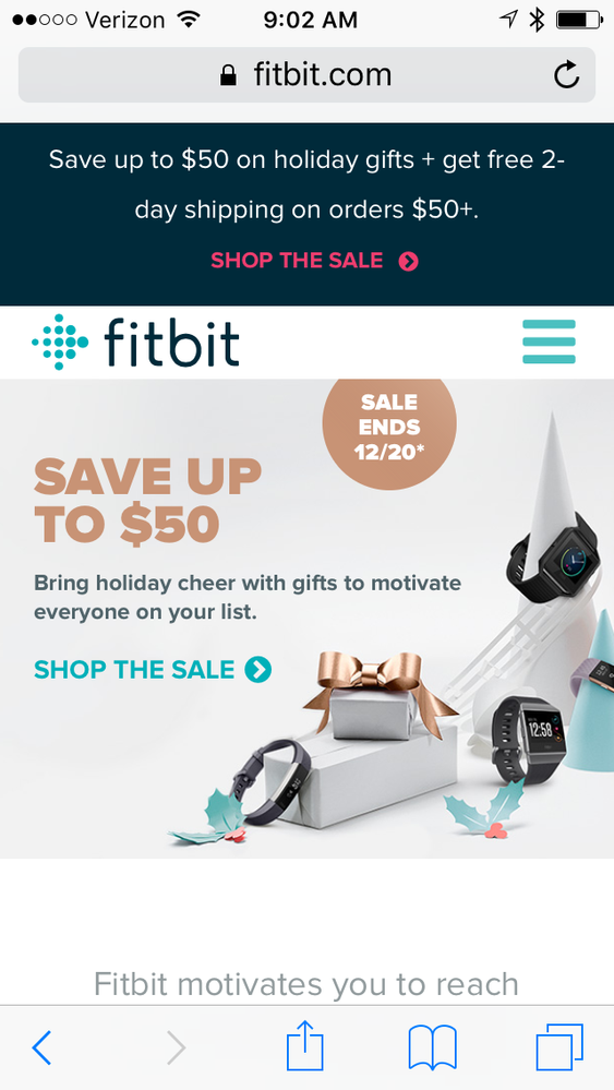 Fitbit holiday online sales