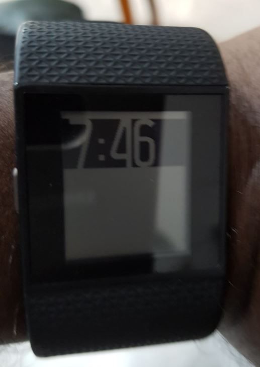 fitbit blank screen