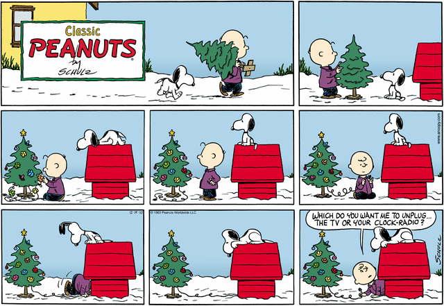 peanuts-choices.gif