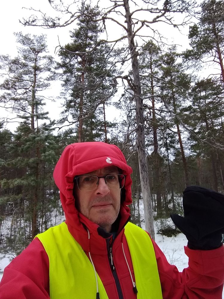 xmas_outdoors.jpg