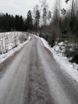 icy road.jpg