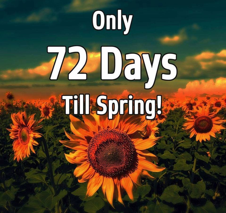 72 Days Til Spring.jpg
