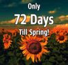 72 Days Til Spring.jpg