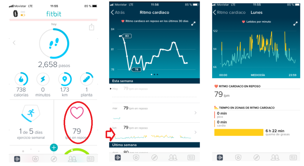 Ritmo cardiaco app.png
