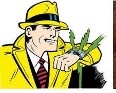 dick tracy.jpg