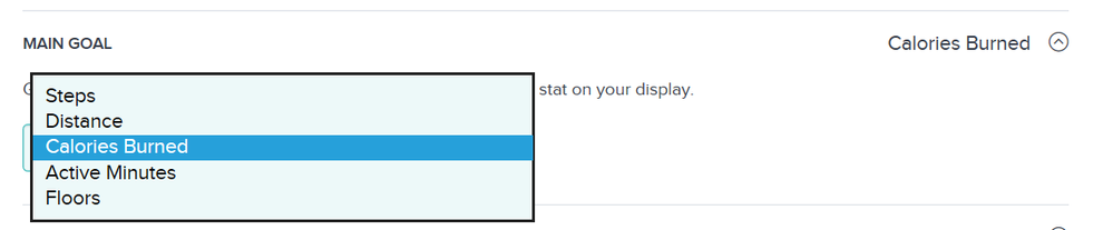 main goal.PNG