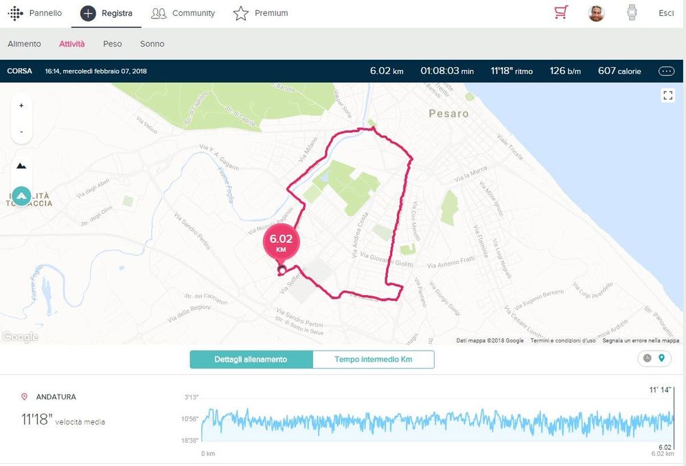 Percorso FitBit report.jpg