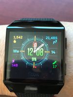 Fitbit ionic 2025 protective case