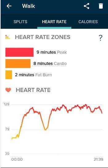 13feb18 walk screen.jpg
