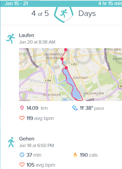Fitbit_Excercise.png