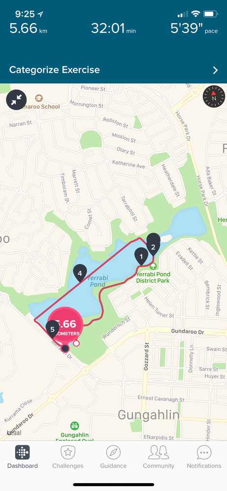 fitbit gps inaccurate