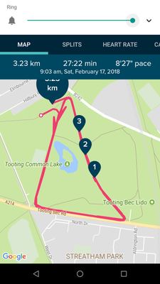 Last week's run Fitbit v2.66